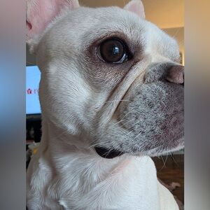 😍 We say: Reasonable offers welcome!!😍